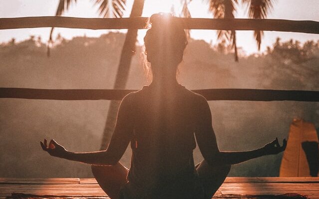 Sistema Inmune, Alimentación y suplementos